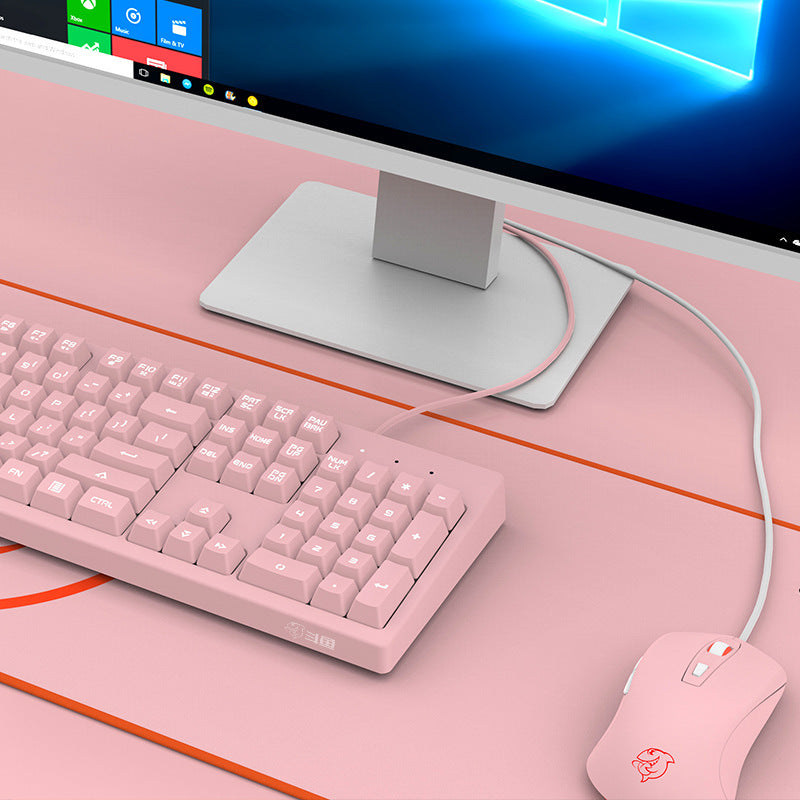 Tea Axis: Feel-Good Office Keyboards for Girls