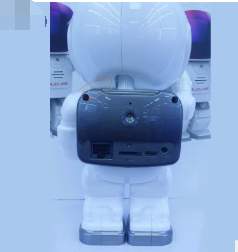 Astronaut Robot Camera IP Wifi Wireless with Night Vision Callipson